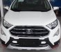 Ford EcoSport Titanium 2018 - Bình Phước bán xe Ford Ecosport Titanium, giá thấp nhất. LH 0898.482.248