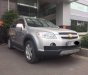 Chevrolet Captiva  AT 2008 - Bán xe Chevrolet Captiva AT sản xuất năm 2008, màu bạc, 325 triệu