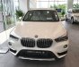 BMW X1   2018 - Bmw Phú Mỹ Hưng - BMW X1 Sdrive18i sx 2018 - mới 100% nhập khẩu nguyên chiếc