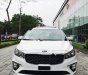 Kia Sedona Platinum G 2018 - Bán ô tô Kia Sedona Platinum G đời 2018, màu trắng