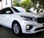 Kia Sedona 2018 - Bán ô tô Kia Sedona sản xuất 2019, màu trắng