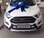 Ford EcoSport Titanium 2018 - Bán Ford EcoSport Titanium 2018 mới