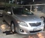 Toyota Corolla 1.6 2009 - Bán Toyota Corolla 1.6 năm 2009 ĐK 2010, màu bạc, nhập khẩu