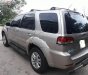 Ford Escape XLT 2009 - Cần bán 1 xe Escape XLT 2009, hai cầu chạy rất đầm chắc