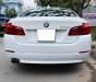 BMW 5 Series 520i 2012 - Xe BMW 5 Series 520i sản xuất năm 2012, màu trắng 