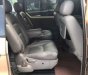 Kia Carnival 2009 - Cần bán Kia Carnival 2009, màu nâu số tự động, 245tr