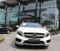 Mercedes-Benz GLA-Class GLA45 AMG 2016 - Bán Mercedes GLA45 AMG đăng kí 2017. Sở hữu ngay phiên bản AMG45 386HP, Lh 0934299669