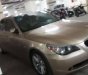 BMW 5 Series 530i 2010 - Cần bán BMW 530i sản xuất 2010, xe nhập