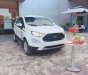Ford EcoSport 2018 - Bán ô tô Ford EcoSport năm 2018, màu trắng