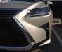 Lexus RX 300 2018 - Cần bán Lexus RX 300 năm 2018, nhập khẩu