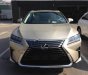 Lexus RX 300 2018 - Cần bán Lexus RX 300 năm 2018, nhập khẩu