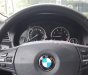 BMW 5 Series 520i 2014 - Cần bán xe BMW 5 Series 520i 2014, màu xanh lam, xe nhập