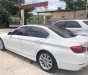 BMW 5 Series 520i 2016 - Bán BMW 5 Series 520i, màu trắng, nhập khẩu