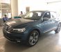 Volkswagen Tiguan 2018 - Bán xe Volkswagen Tiguan sản xuất năm 2018, màu xanh lam, nhập khẩu