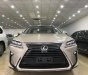 Lexus RX 350  2018 - Bán Lexus RX350 nhập Mỹ, màu vàng, model 2019, 7 chỗ, mới 100%, xe và giấy tờ giao ngay