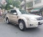 Ford Escape 2.3 XLS 2010 - Xe cũ Ford Escape 2.3 XLS 2010, màu vàng chính chủ