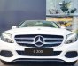 Mercedes-Benz C class C200 2018 - Cần bán xe Mercedes C200 đời 2018, màu trắng, nội thất be