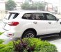 Ford Everest Titanium 2018 - Bán chiếc xe Ford Everest Titanium 1 cầu, xe có bảo hiểm thân vỏ