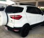 Ford EcoSport Titanium 2018 - Bán Ford EcoSport số tự động bản Titanium đăng ký 2017, chạy 16.000 km