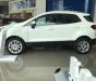 Ford EcoSport   2018 - Bán Ford EcoSport Trend AT, Titanium, 1.0 Ecoboots năm sản xuất 2018, màu trắng