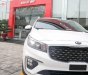 Kia Sedona Platinum D 2018 - Bán Kia Sedona Platium D 2.2 DATH 2018, mới 100%