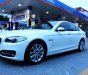 BMW 5 Series 520i 2016 - BMW 5 Series 520i năm sản xuất 2016