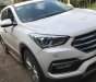 Hyundai Santa Fe 2.2L 2017 - Bán ô tô Hyundai Santa Fe 2.2L đời 2017, màu trắng  