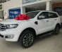 Ford Everest 4X2 AT 2018 - Cần bán xe Ford Everest 4x2 AT năm sản xuất 2018