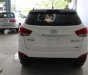 Hyundai Tucson  AT 2.0 4DW  2010 - Bán Hyundai Tucson 2.0AT sản xuất 2010, nhập khẩu nguyên chiếc, bản 2 cầu 4WD