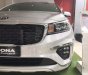 Kia Sedona Platinum D 2018 - Bán xe Kia Sedona sản xuất 2018, màu bạc