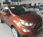 Ford EcoSport Titanium 1.5L AT 2018 - Cần bán Ford EcoSport Titanium 1.5L AT sản xuất năm 2018, giá 630tr