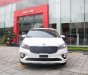 Kia Sedona Platinum D 2018 - Bán Sedona Platinum D hot hot, có xe giao ngay, hỗ trợ trả góp 85% giá trị xe, vô vàn ưu đãi. Liên hệ 0919 365 016