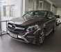 Mercedes-Benz GLE-Class GLE Class 2017 - Cần bán lại xe Mercedes GLE Class đời 2017, màu nâu, nhập khẩu nguyên chiếc như mới