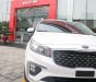 Kia Sedona Platinum G  2018 - Bán ô tô Kia Sedona Platinum G đời 2018, màu trắng. Xe giao ngay