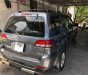 Ford Escape  XLT   2009 - Bán Ford Escape XLT 2009, màu xám, 395tr