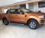 Ford Ranger Wildtrak 2.0L 4x2 AT 2018 - Bán xe Ford Ranger Wildtrak và XLS, xe giao ngay, giá cực nét, PK: Nắp thùng, lót thùng, phim, BHVC, LH: 091.888.9278