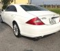 Mercedes-Benz CLS class 2009 - Bán xe Mercedes đời 2009, màu trắng, nhập khẩu 