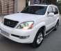 Lexus GX  470 AT   2004 - Bán Lexus GX 470 AT năm sản xuất 2004, màu trắng, nhập khẩu nguyên chiếc giá cạnh tranh