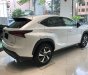 Lexus NX  300 2018 - Bán xe Lexus NX 300 năm 2018, màu trắng, xe nhập