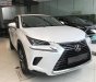 Lexus NX  300 2018 - Bán xe Lexus NX 300 năm 2018, màu trắng, xe nhập