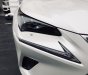 Lexus NX 300 2018 - Bán Lexu Nx300 năm 2017, siêu lướt mới đi 10.000km sản xuất 2018 màu trắng, nhập khẩu nguyên chiếc, bao kiểm tra hãng