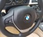 BMW 3 Series 320i 2017 - Bán BMW 3 Series 320i năm 2017, biển HN, đẹp như mới