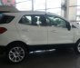 Ford EcoSport Titanium 1.0 EcoBoost 2018 - Bán Ford EcoSport Titanium 1.0 EcoBoost năm 2018, màu trắng