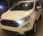 Ford EcoSport Titanium 1.5L 2018 - Chỉ 150 triệu nhận Ford Ecosport Titanium 2018 thủ tục nhanh chóng