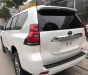 Toyota Prado 2018 - Bán Toyota Prado năm 2018 màu trắng, nhập khẩu nguyên chiếc, giao ngay, LH 0985102300