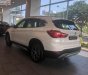 BMW X1 sDriver18i 2018 - Bán BMW X1 sDriver18i đời 2018, màu trắng, xe nhập