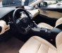 Lexus NX 300 2018 - Bán Lexu Nx300 năm 2017, siêu lướt mới đi 10.000km sản xuất 2018 màu trắng, nhập khẩu nguyên chiếc, bao kiểm tra hãng