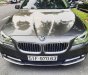 BMW 5 Series 520i 2014 - Bán BMW 5 Series 520i 2014, màu nâu, nhập khẩu