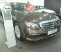 Mercedes-Benz E class E200 2018 - Bán ô tô Mercedes E200 sản xuất năm 2018, màu nâu