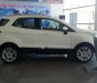 Ford EcoSport Titanium 1.0 EcoBoost 2018 - Bán Ford EcoSport Titanium 1.0 EcoBoost năm 2018, màu trắng